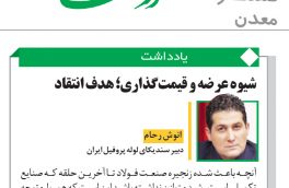 شیوه عرضه و قیمت گذاری، هدف انتقاد