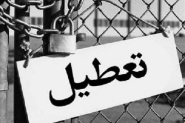 کارخانه ام تا دوماه دیگر تعطیل می‌شود/ دولت از صنایع کوچک حمایت نمی کند