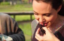 جیرجیرک خوری از آنجلینا جولی تا سیرجان+ عکس