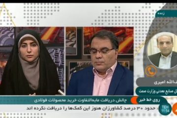 چالش دریافت مابه التفاوت خرید محصولات فولادی با حضور کاوه دبیر سندیکا و امیری مدیرکل صنایع معدنی وزارت صمت