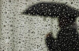 بارندگی در ۹ استان / تهران از فردا خنک می شود