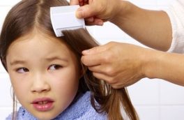 نشانه های ابتلا به شپش سرچیست؟