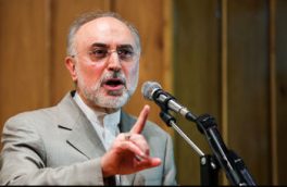 صالحی : ان شاءالله ترامپ برجام را پاره کند تا …