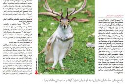 عجیب الخلقه مثل “خصولتی”