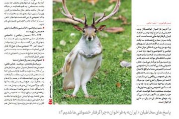 عجیب الخلقه مثل “خصولتی”